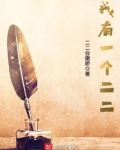 我有一个二二小说