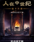人在中世纪,抽卡升爵