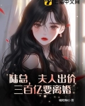 陆总,夫人出价三百亿要离婚