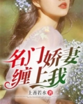 名门娇妻缠上我