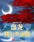 盘龙,我另类超脱