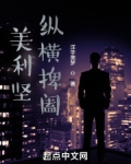 美利坚纵横捭阖