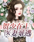 贺少在上,医妻难逃