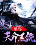 至尊天命系统TXT