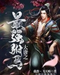 大唐之最强驸马