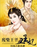 废柴王爷丑王妃
