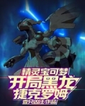 宠物小精灵黑龙