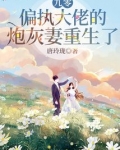 九零,偏执大佬的炮灰妻重生了