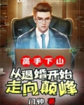 高手下山：从退婚开始走向巅峰