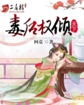 毒后权倾天下
