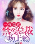 一夜深情:禁爱总裁宠上天全文免费