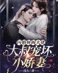 闪婚财阀大佬:大叔宠坏小娇妻