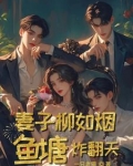 女主角柳如烟小说