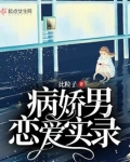 病娇男恋爱实录