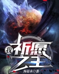 我,祈愿之主免费阅读