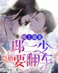 枕上强宠邢二少隐婚要翻车免费阅读未删减