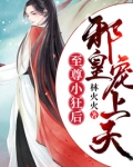 至尊小狂后：邪皇宠上天