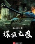 谍涯无痕小说免费阅读