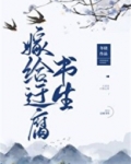 嫁给迂腐书生