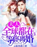 夫人,全球都在等你离婚