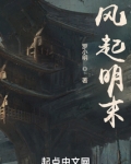风起明末