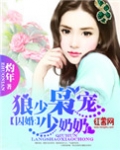 囚婚：狼少枭宠少奶奶