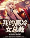 我的高冷女神总裁秦洛