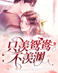 不羡鸳鸯不羡仙电视剧