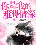 你是我的难得情深