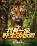 我有一座野生动物园起点