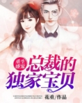 重生盛宠:总裁的独家宝贝