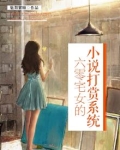 六零宅女的小说打赏系统