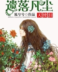遗落凡尘天使泪