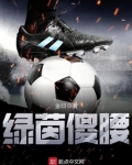 绿茵傻腰主角智力一直很低吗