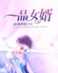 一品女婿