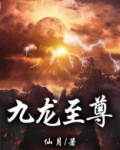九龙至尊青月