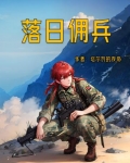 落日佣兵小说下载