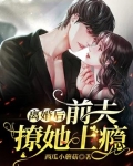 离婚后前夫哭着求复婚大结局