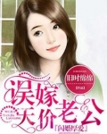闪婚厚爱:误嫁天价老公