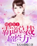 娇妻在上:霸道总裁超给力