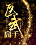 医武高手