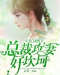 豪门戏婚：总裁攻妻好坎坷