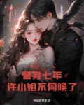 替身不替心许念小说