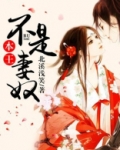 本王不是妻奴