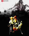 顽贼