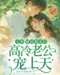 七零被迫换亲后高冷老公宠上天