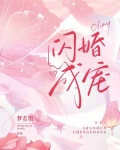 闪婚成宠