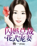 闪婚总裁花式宠妻