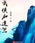 侠义加速器