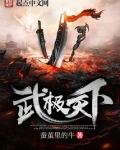 武极天下